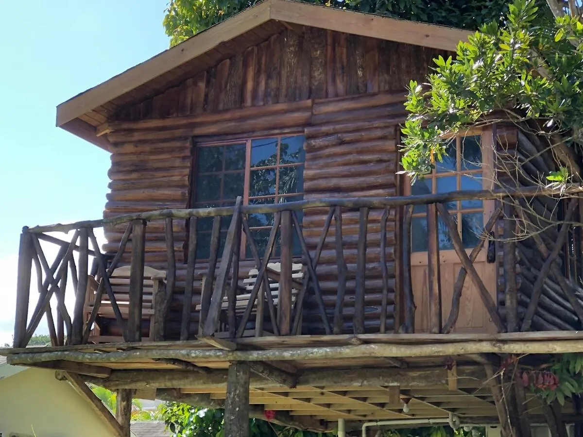 Cozy Treehouse - Saint Ann'S Bay, Jamaica Adventure Villa 0*,  Jamaica
