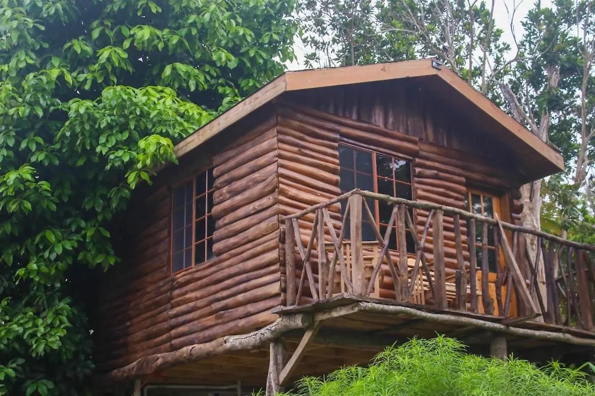 Cozy Treehouse - Saint Ann'S Bay, Jamaica Adventure Villa